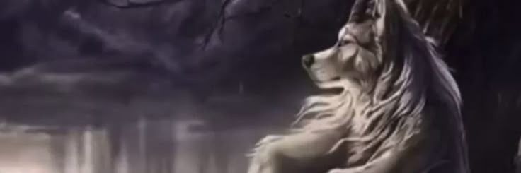 a werewolf gazing into the distance